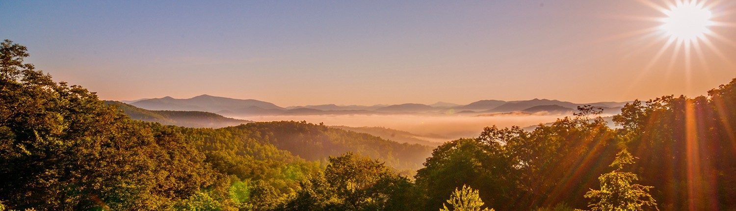 Diagnostic Testing Services in WNC