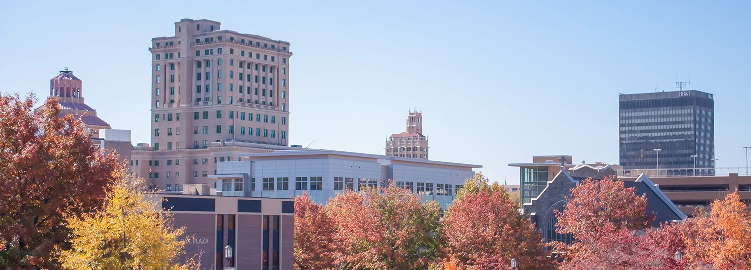 Mobile Ultrasound Services in Asheville, NC